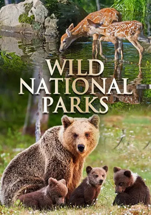 Wild National Parks постер