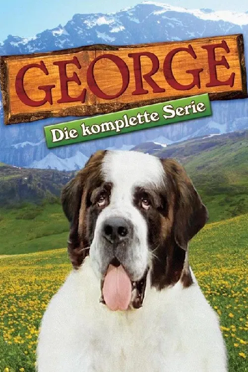 George постер