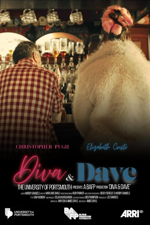 Diva and Dave постер