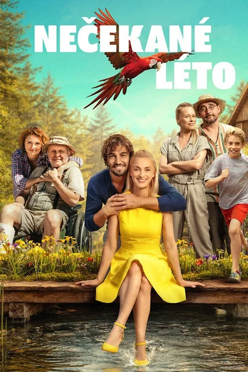 Nečekané léto постер