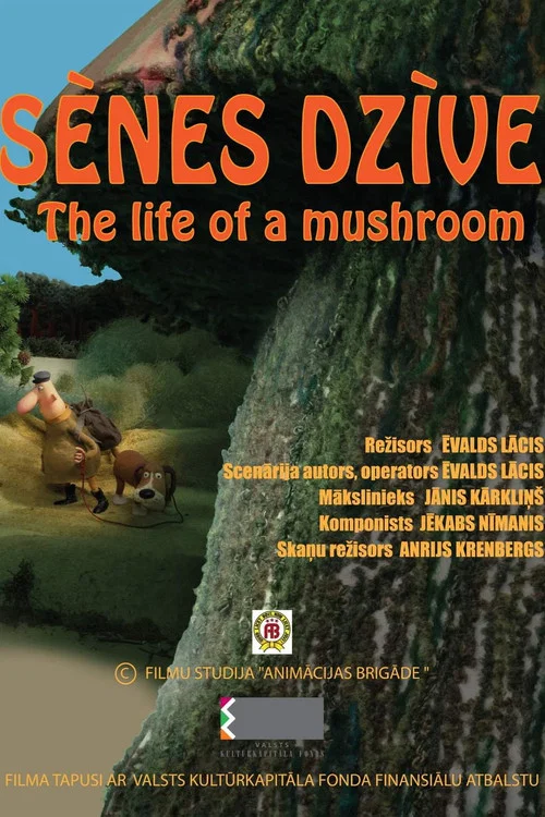 Sēnes dzīve постер