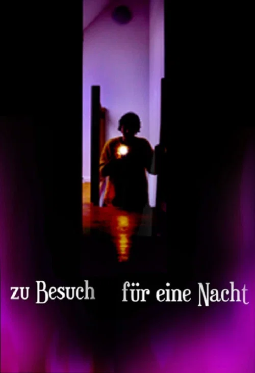 Zu Besuch für eine Nacht постер