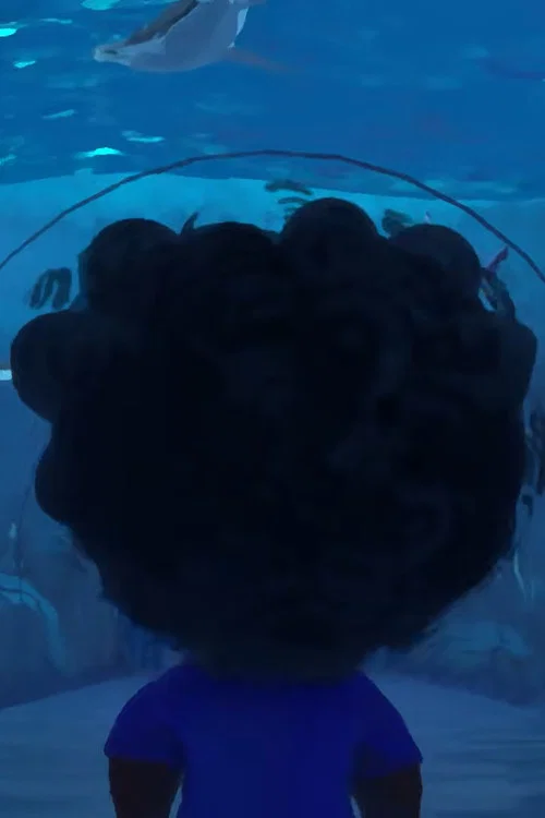 The Oceanarium постер