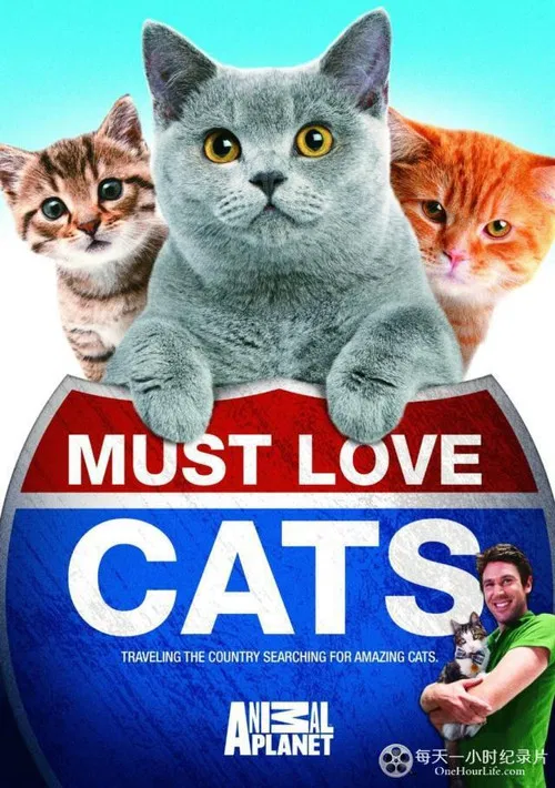 Animal Planet: Must Love Cats постер