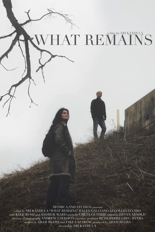 What Remains постер