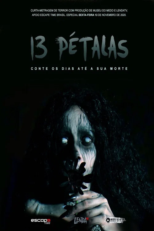 13 Pétalas постер