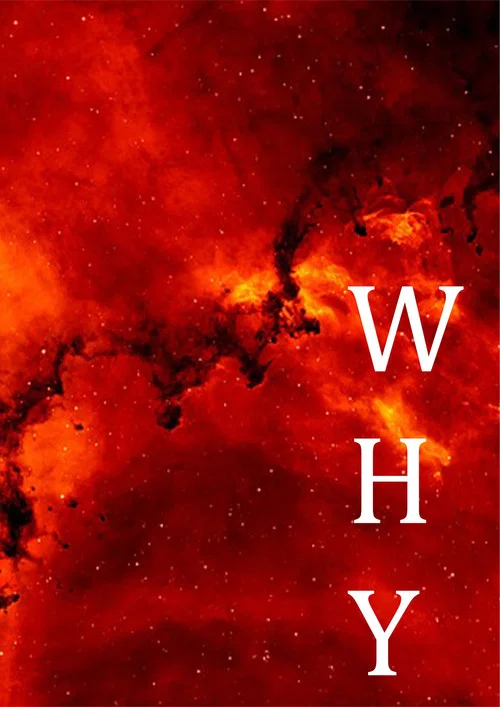 WHY постер