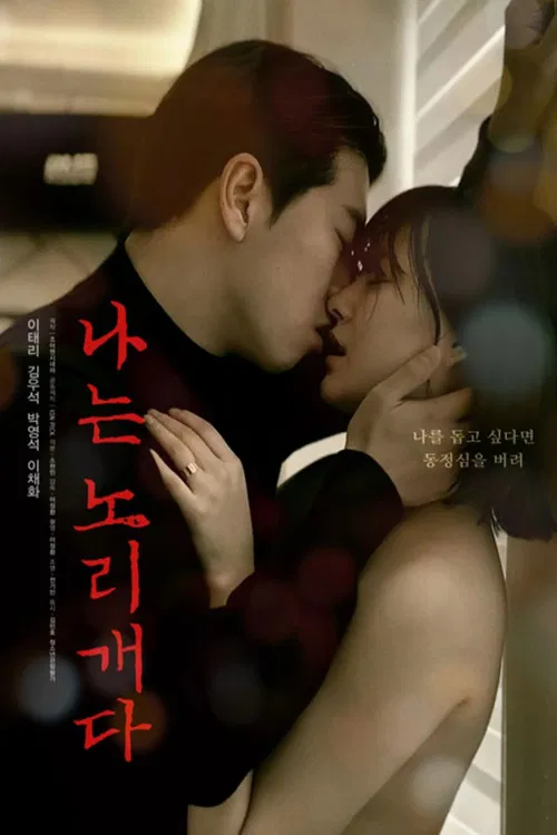 나는 노리개다 постер