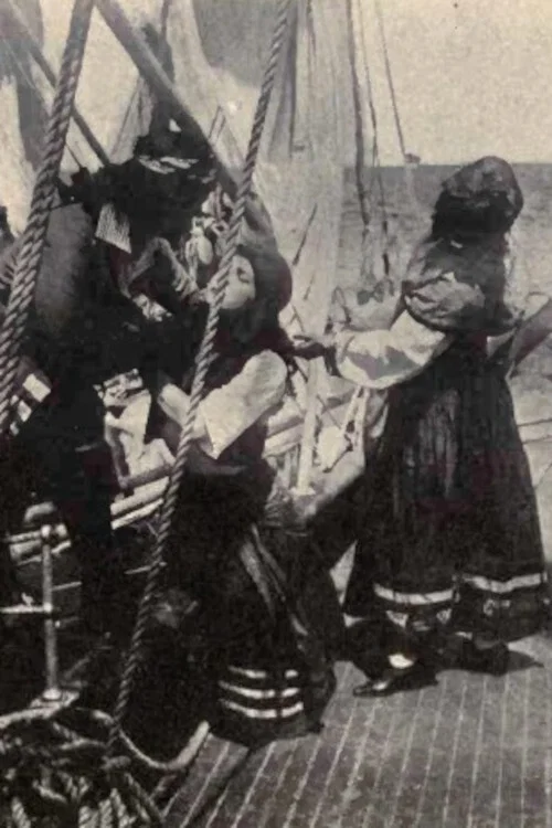 The Rose of Old St. Augustine постер