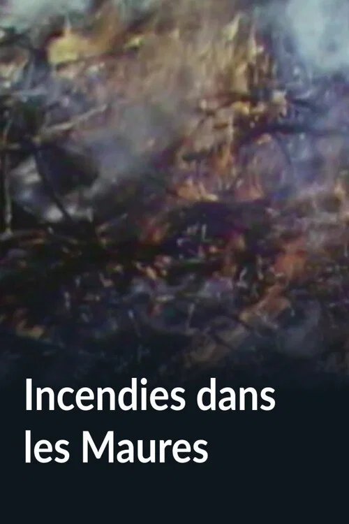 Incendies dans les Maures постер