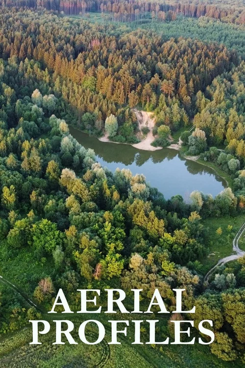 Aerial Profiles постер