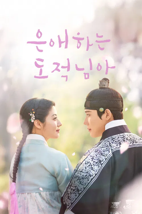 은애하는 도적님아 постер