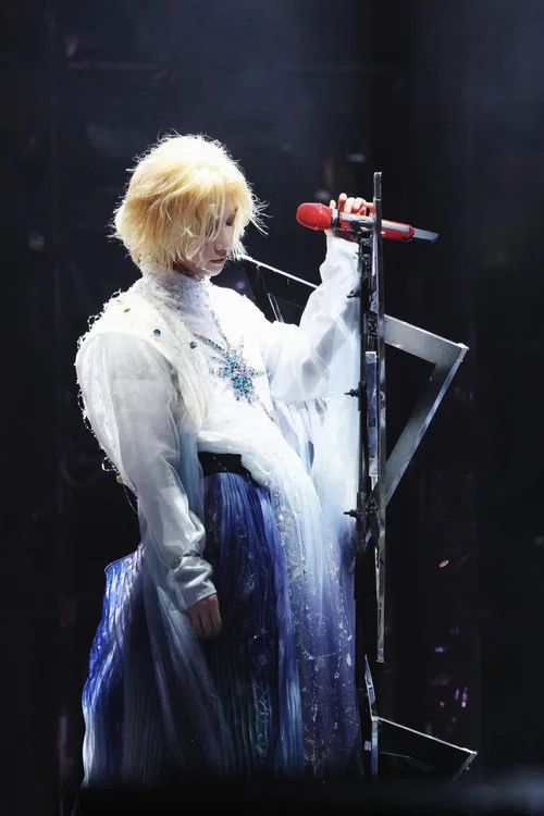 华晨宇2024火星演唱会「深圳-收官站」 постер