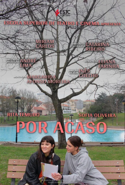 Por Acaso постер