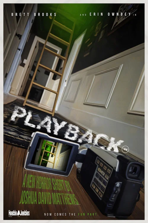 Playback постер