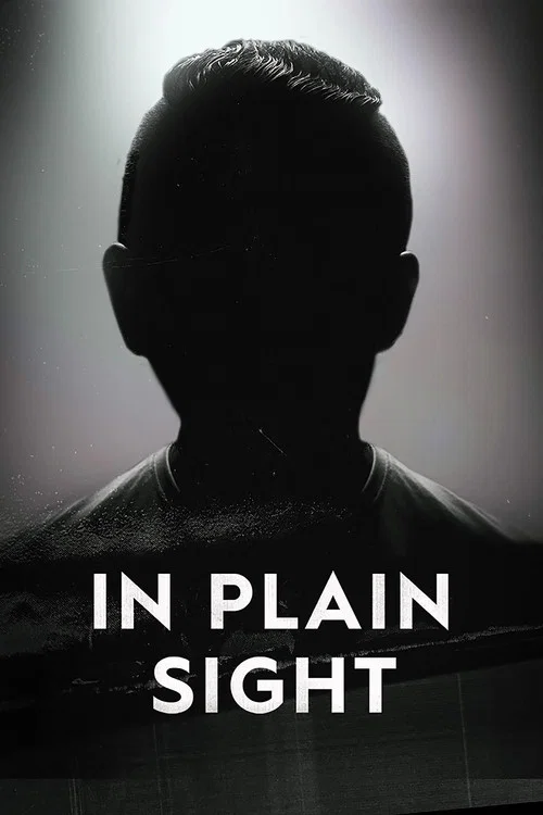 In Plain Sight постер