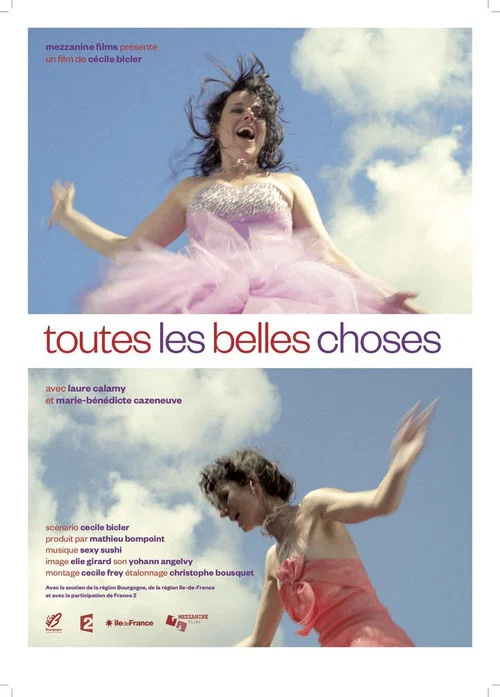 Toutes les belles choses постер