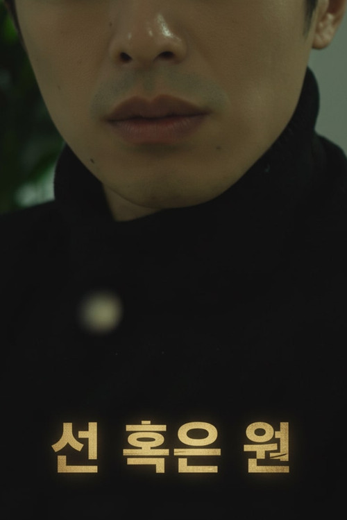 선 혹은 원 постер