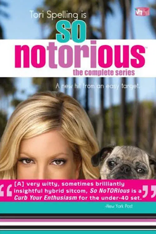 So NoTORIous постер