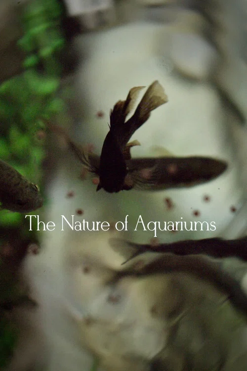 The Nature of Aquariums постер