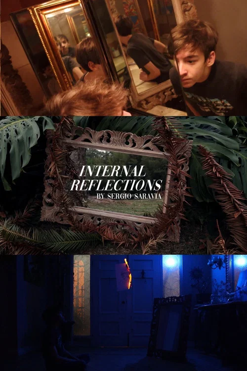 Internal Reflections постер