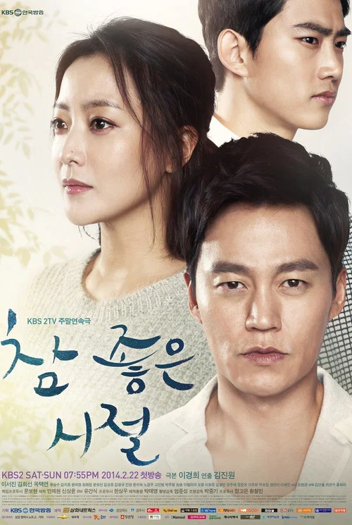 참 좋은 시절 постер