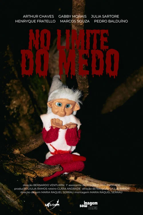 No Limite Do Medo постер