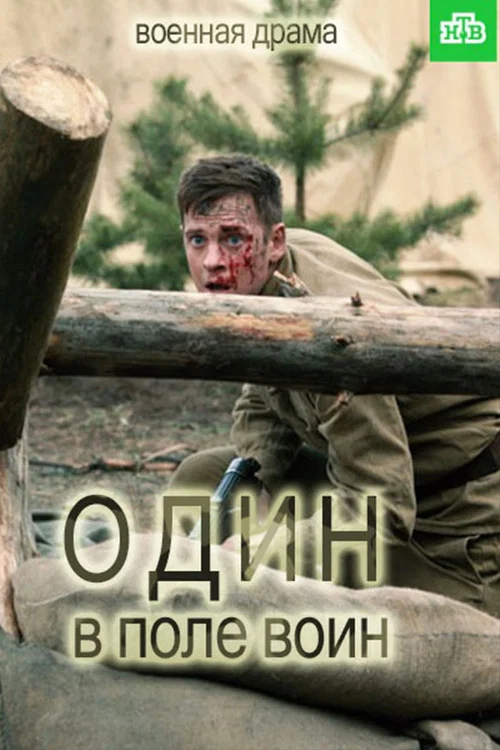 Один в поле воин постер