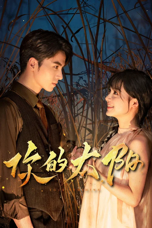 你的太阳 постер
