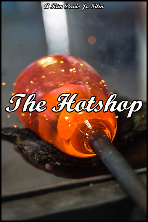 The Hotshop постер