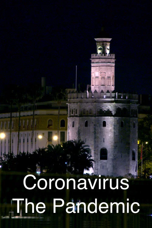 Coronavirus: The Pandemic постер