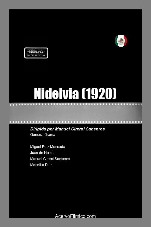 Nidelvia постер