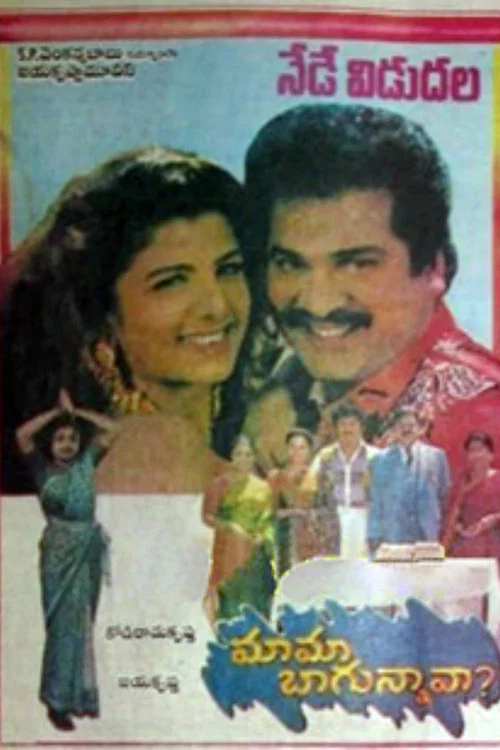 మామ బాగున్నావా постер