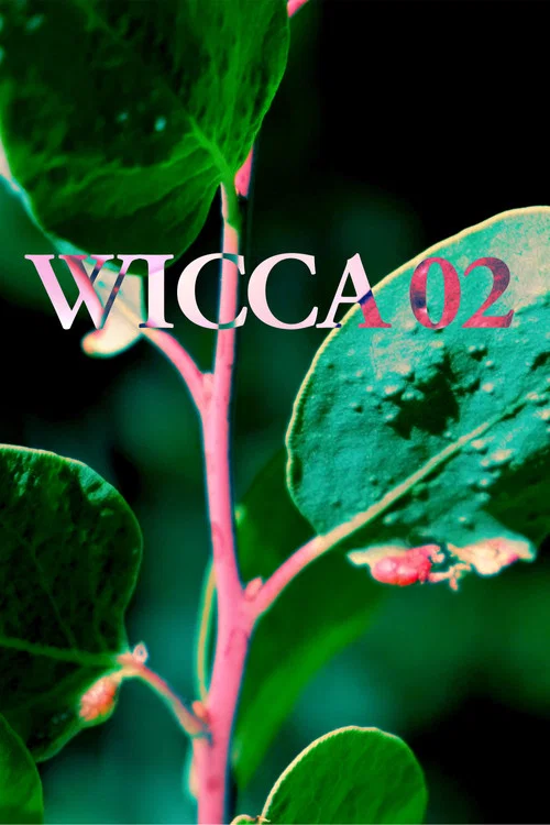 WICCA_02 постер