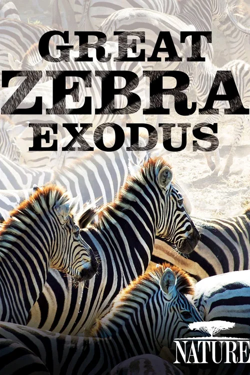 Nature: Great Zebra Exodus постер