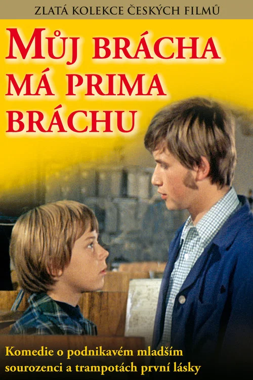 Můj brácha má prima bráchu постер