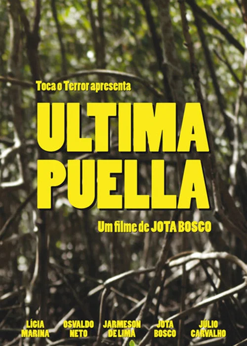 Ultima Puella постер
