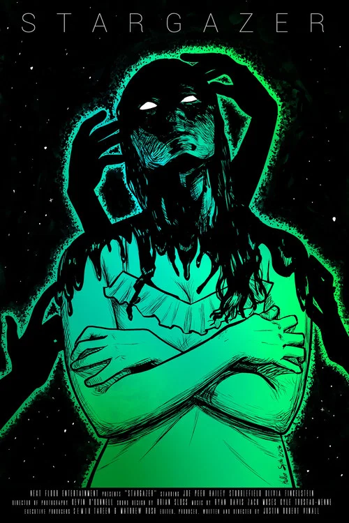 Stargazer постер