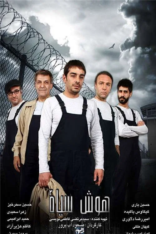 هوش سیاه постер