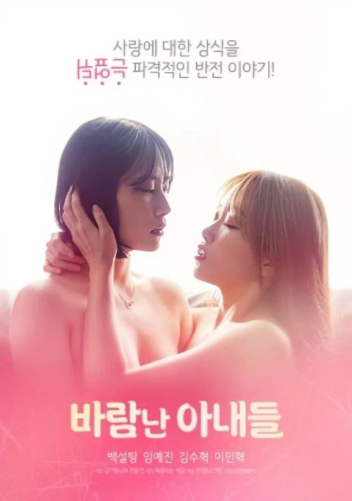 바람난 아내들 постер