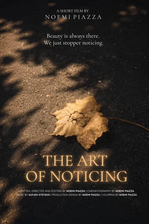 The Art Of Noticing постер