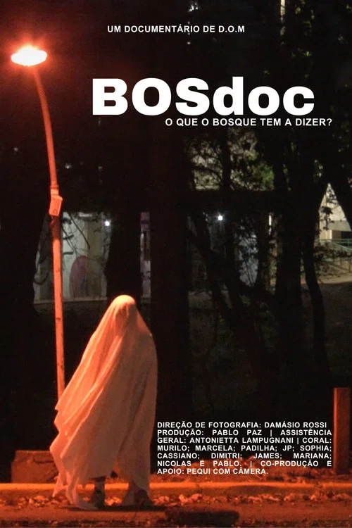 BOSdoc постер