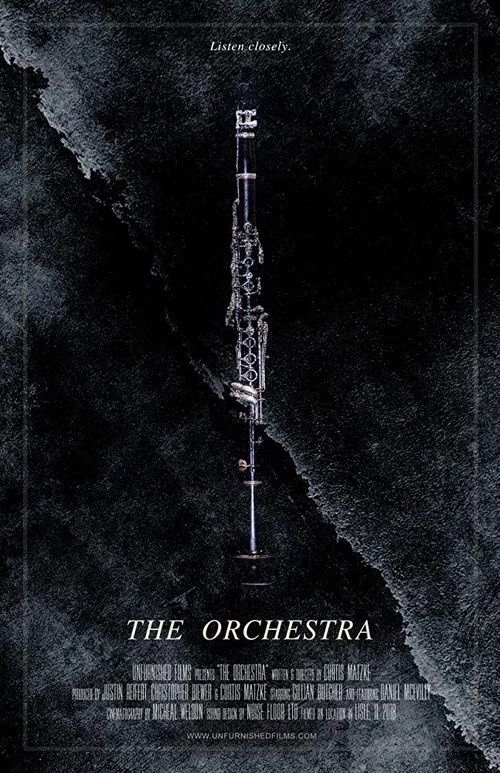 The Orchestra постер