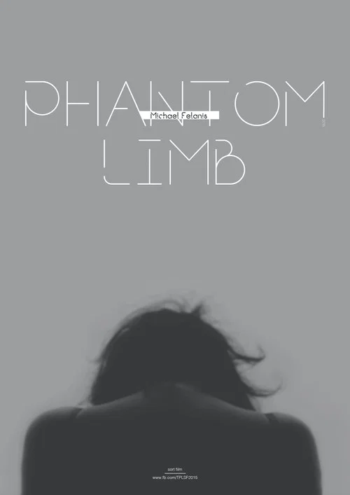 Phantom Limb постер