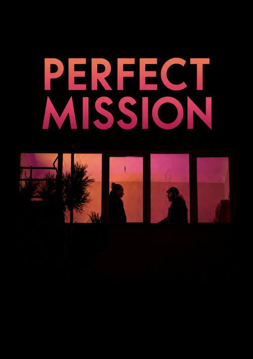 Perfect Mission постер