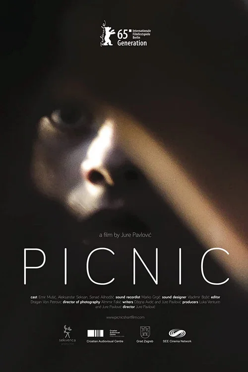 Piknik постер