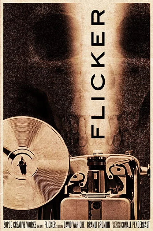 Flicker постер