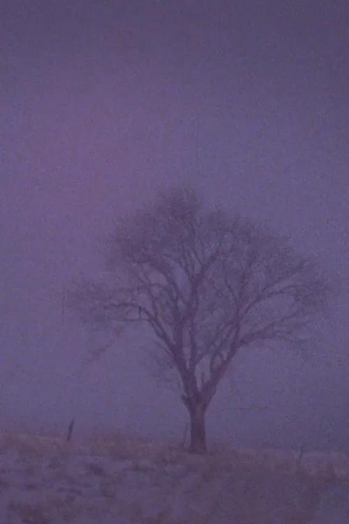 Tree Over the Valley, Eaton постер