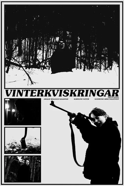 Vinterkviskringar постер