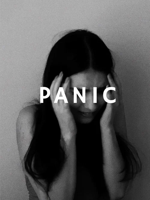 Panic постер